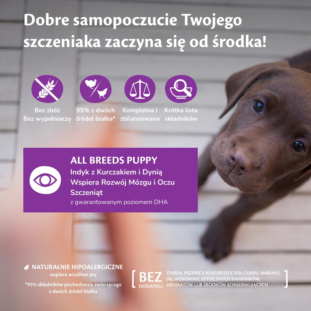 Wellness CORE 95% 6 x 400g, Kurczak i Indyk – Mokra Karma, Pasztet typu Chunky dla Szczeniąt, Bezzbożowa, Naturalna, Hipoalergiczna, Bogata w Białko, o Wysokiej Zawartości Mięsa