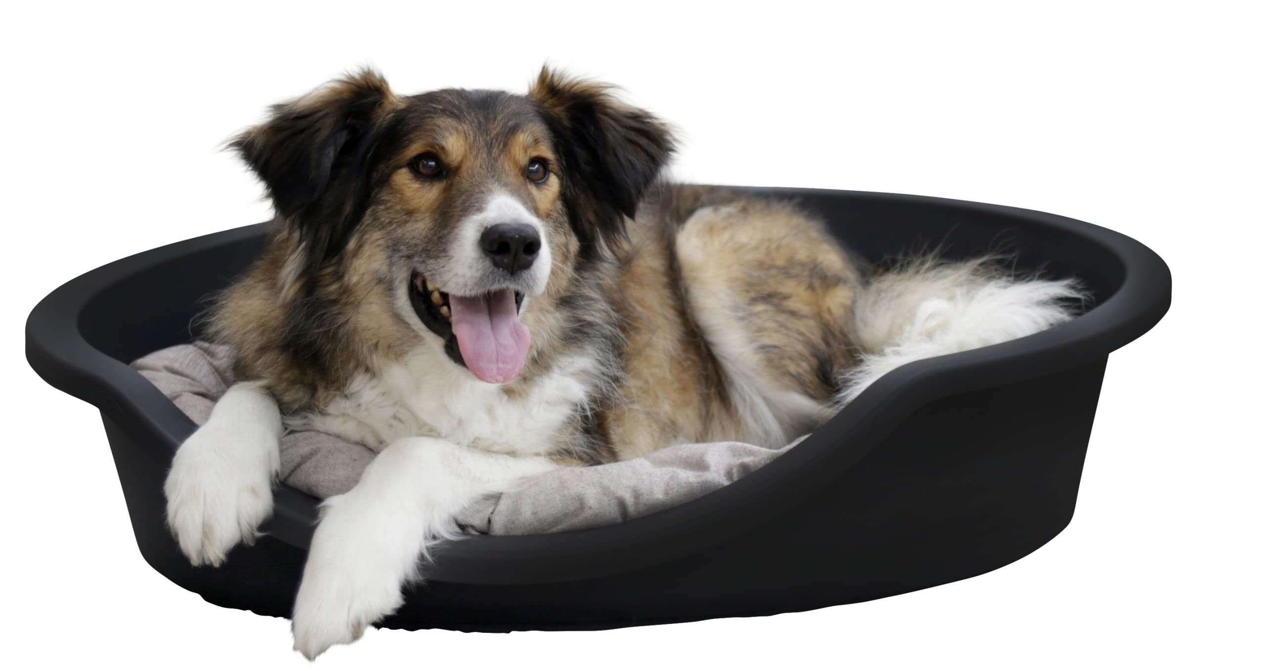 Kerbl Pet Lit en Plastique Dreamer, Panier pour Animaux, 95x70x29cm, Noir, Plastique recyclé, Robuste, Rebord Haut, fabriqué en Italie