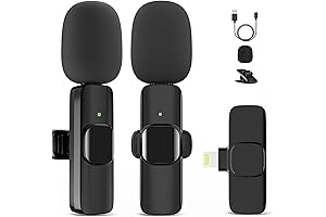 Mini Microphone, Max Output