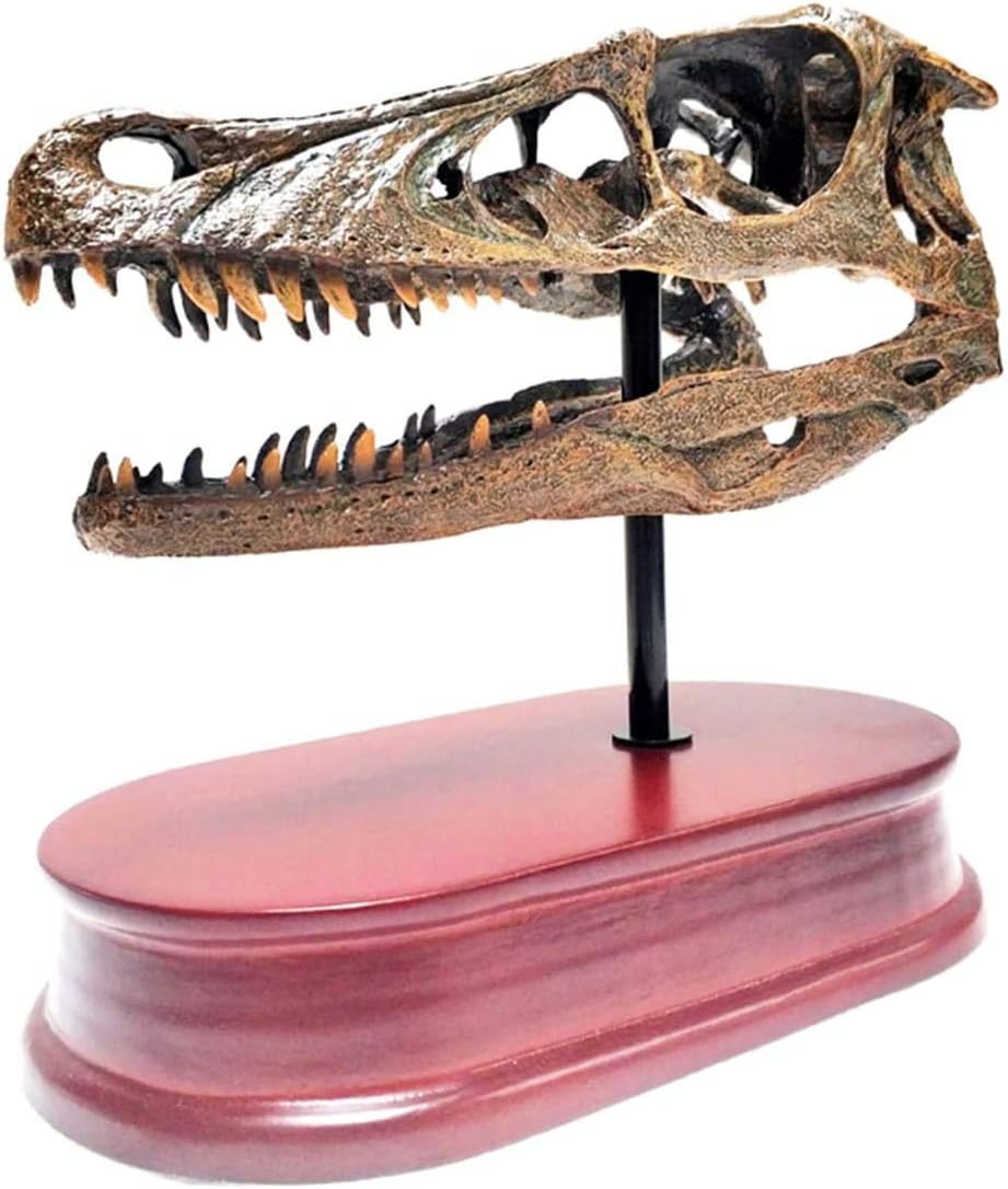 木彫　恐竜　ティラノサウルス　幼体　ジェーン　頭骨模型　14㎝ 木彫 恐竜 ティラノサウルス 幼体 ジェーン 頭骨模型 14