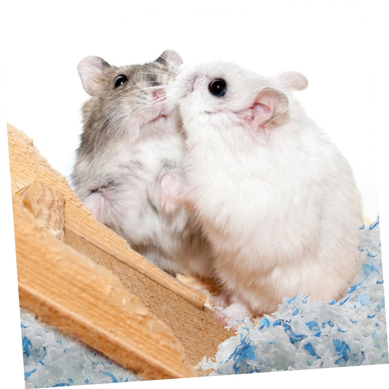 Hamster und Meerschweinchen Einstreu aus Papier, 2 Beutel | Kleintierkäfige, Niedrige Staubentwicklung, Saugfähig und Geruchsarm, Weiche Polsterung