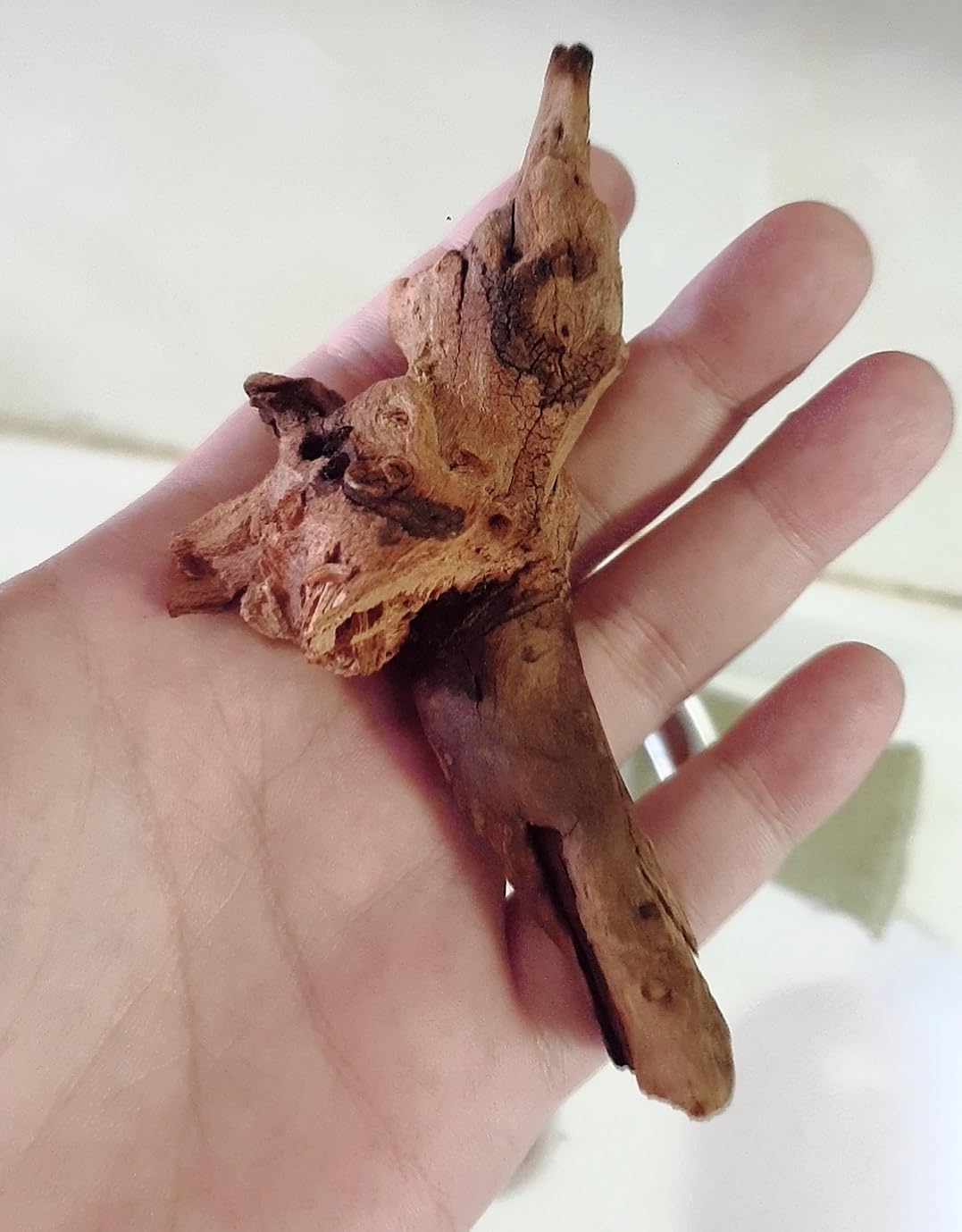 YZHZOM 4 Pieces Small Natural Driftwood Aquarium Fish Tank 3-6 Inch Carefully Selected Natural Aquarium Decor Driftwood for Reptile Tanks Reptile Tanks Wood Decor - Image 4
