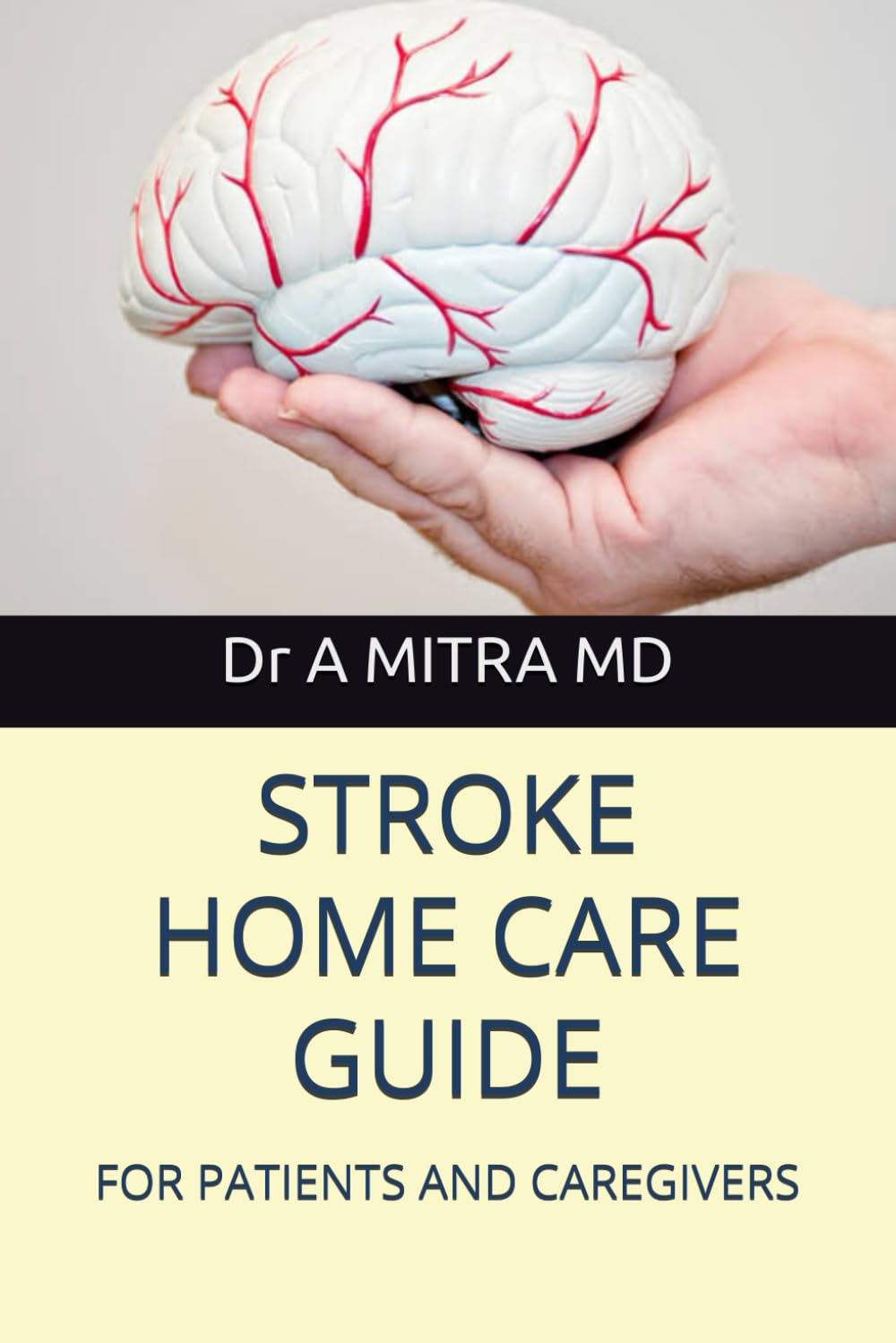 STROKE HOME CARE GUIDE: FOR PATIENTS AND CAREGIVERS