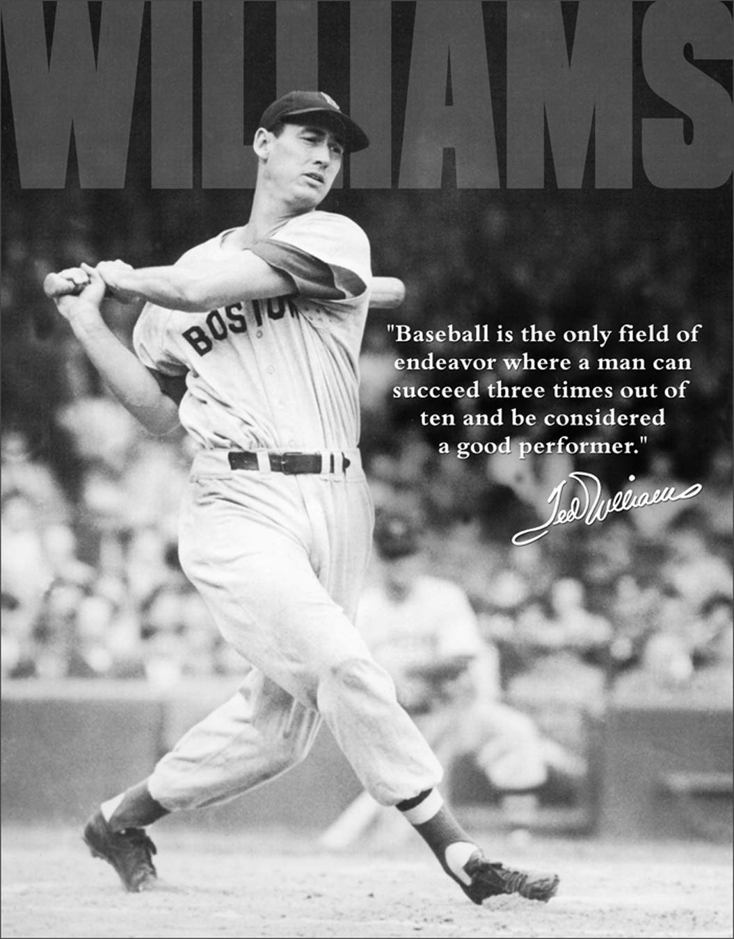 Desperate Enterprises Ted Williams - Baseball Tin Sign, 12.5" W x 16" H