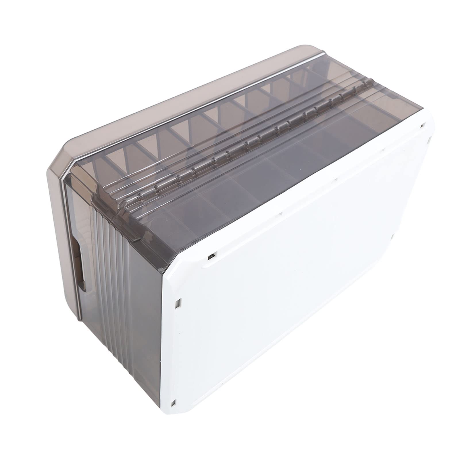 Organizador de ropa para guardarropa, organizador de ropa con cajón, caja de almacenamiento de ropa plegable de PP, diseño de riel deslizante con tapa, organizador de pantalones (with Lid 9 Grids)