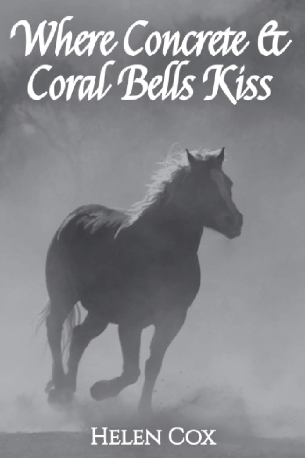 Where Concrete and Coral Bells Kiss