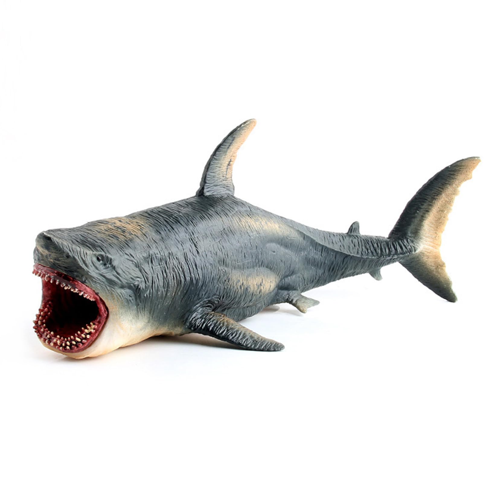 海の王者、ホホジロザメリアルフィギュア SKU250818T Amazon.co.jp: EUHELOPA ホホジロザメ サメ ホオジロザメ