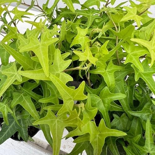 wfiACr[jFCgtBK[3|bg 3Zbg