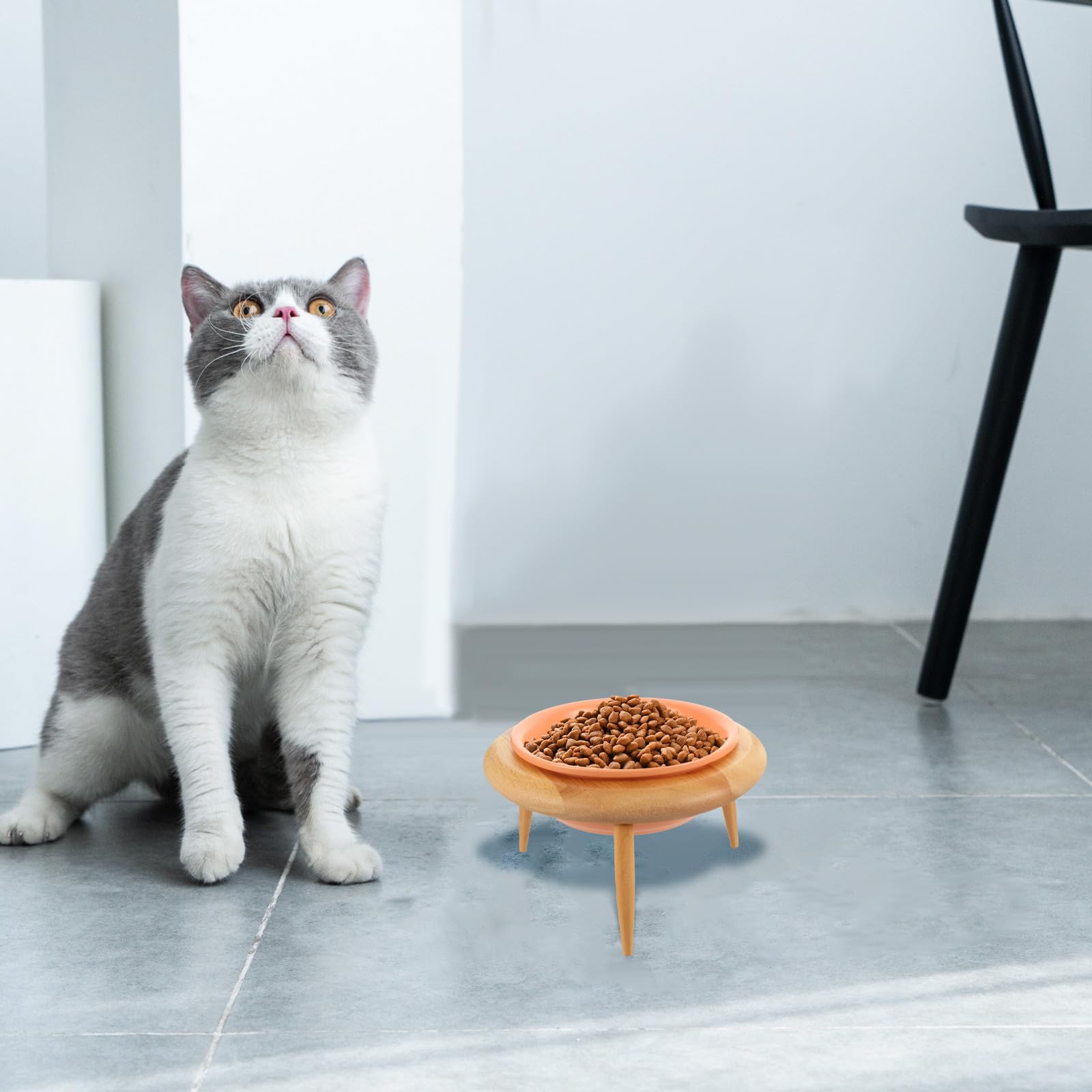 Comedero Elevado para Gatos y Perros, Cerámica con Soporte de Madera