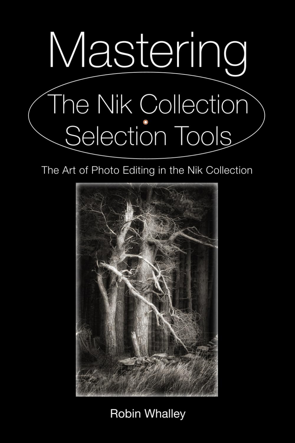 Mastering The Nik Collection Selection Tools: The Art of Photo Editing in The Nik Collection