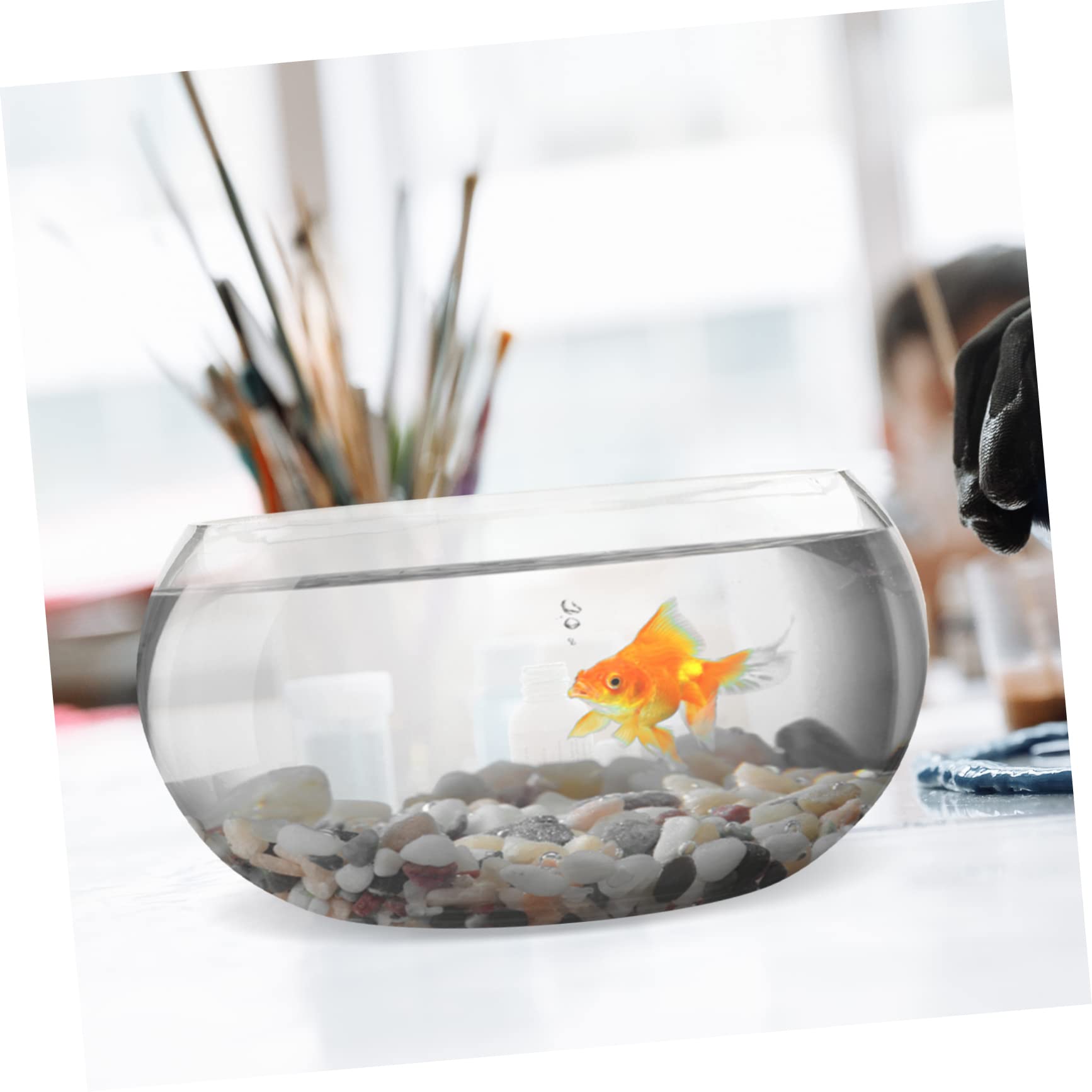 Beaupretty Pecera De Vidrio Transparente para Escritorio Acuático Decorativo para Plantas y Peces Terrario Hidropónico para Hogar y Oficina