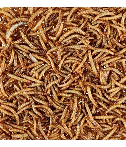 Dehner Natura Wildvogelfutter, getrocknete Mehlwürmer, proteinreich, 80 g