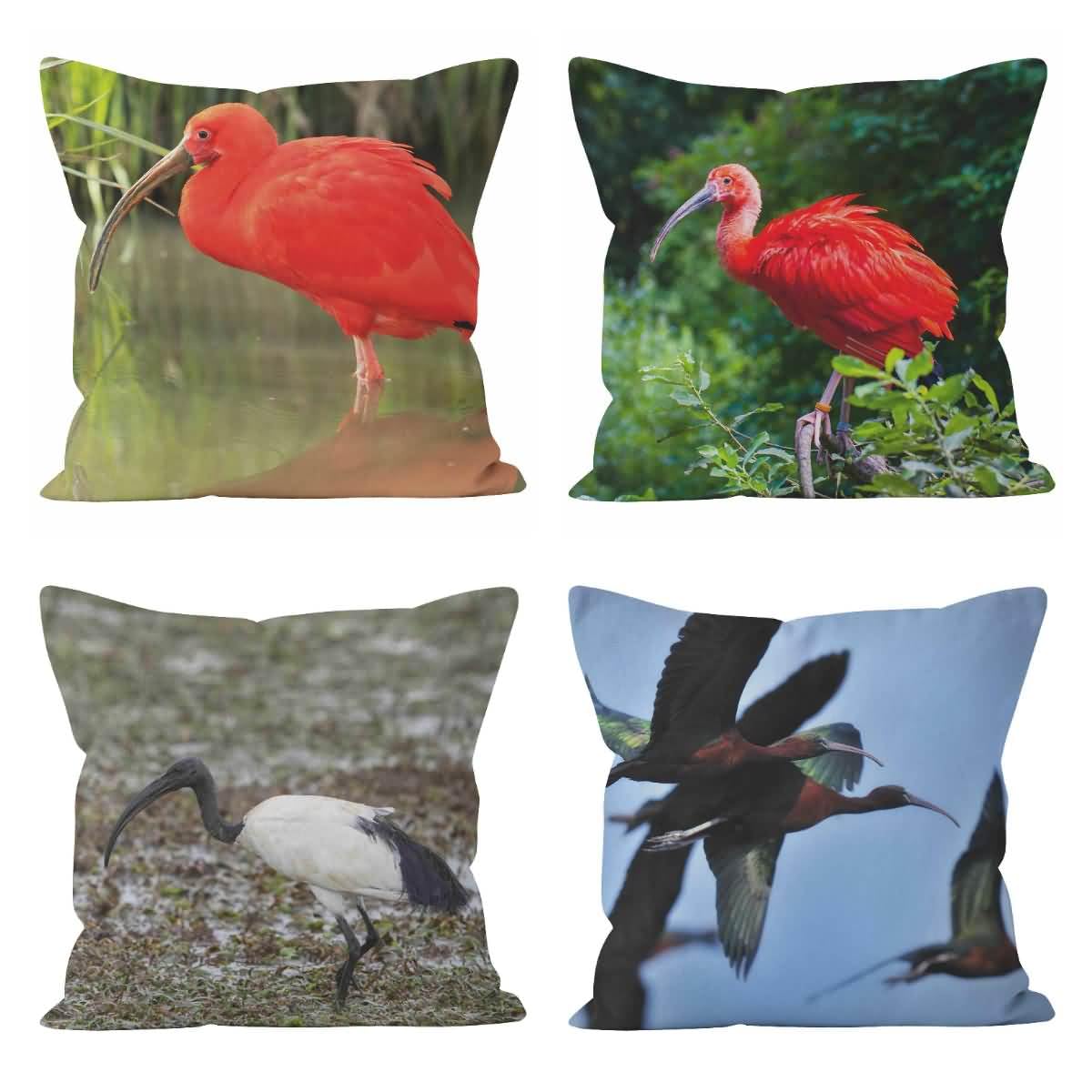 Housse de coussin lin 50x50 cm CEVAN lot de 4 taies d'oreiller décoratives pour canapé salon