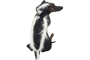 Midlee Skunk Dog Halloween Costume: Unleash the Odorless Essence for Canine Cuteness