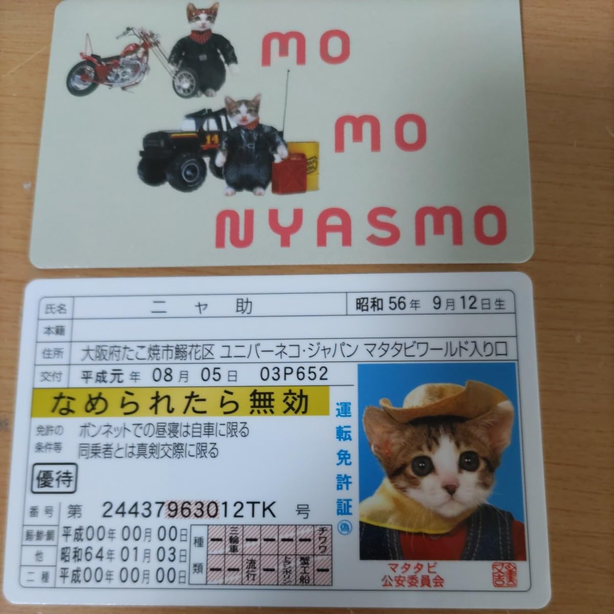 Amazon.co.jp: なめ猫 運転免許証 なめんなよ 助 免許証 昭和