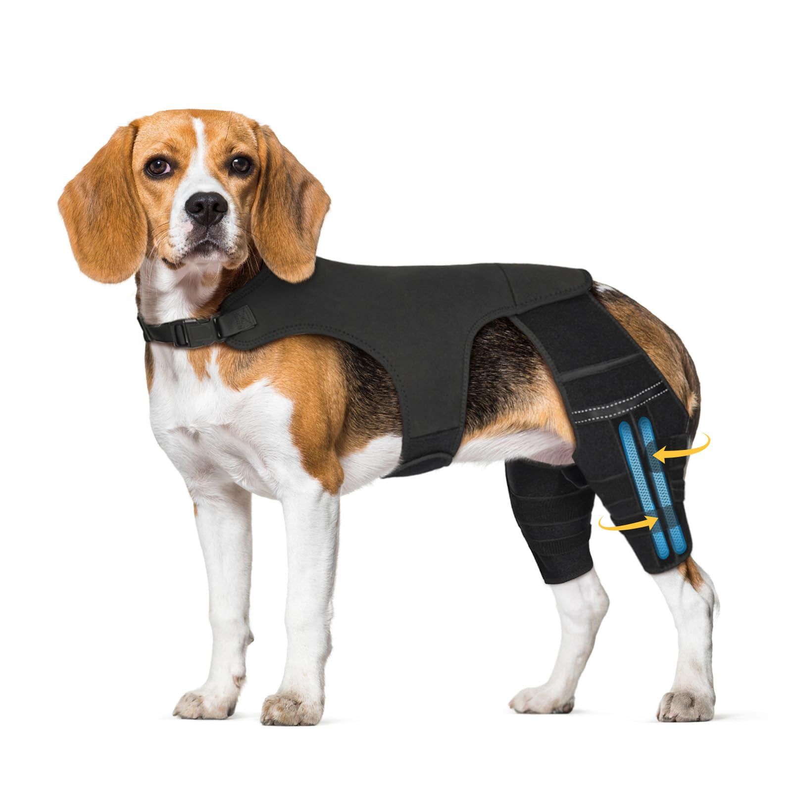 Photo 1 of Marnonsis Dog Knee Brace for Acl Hind Leg, Dog Leg Braces for Back Leg, Adjustable Hip Support to Reduces Pain
