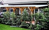  Terrassenüberdachung ADRIA II Wintergarten 600x400cm