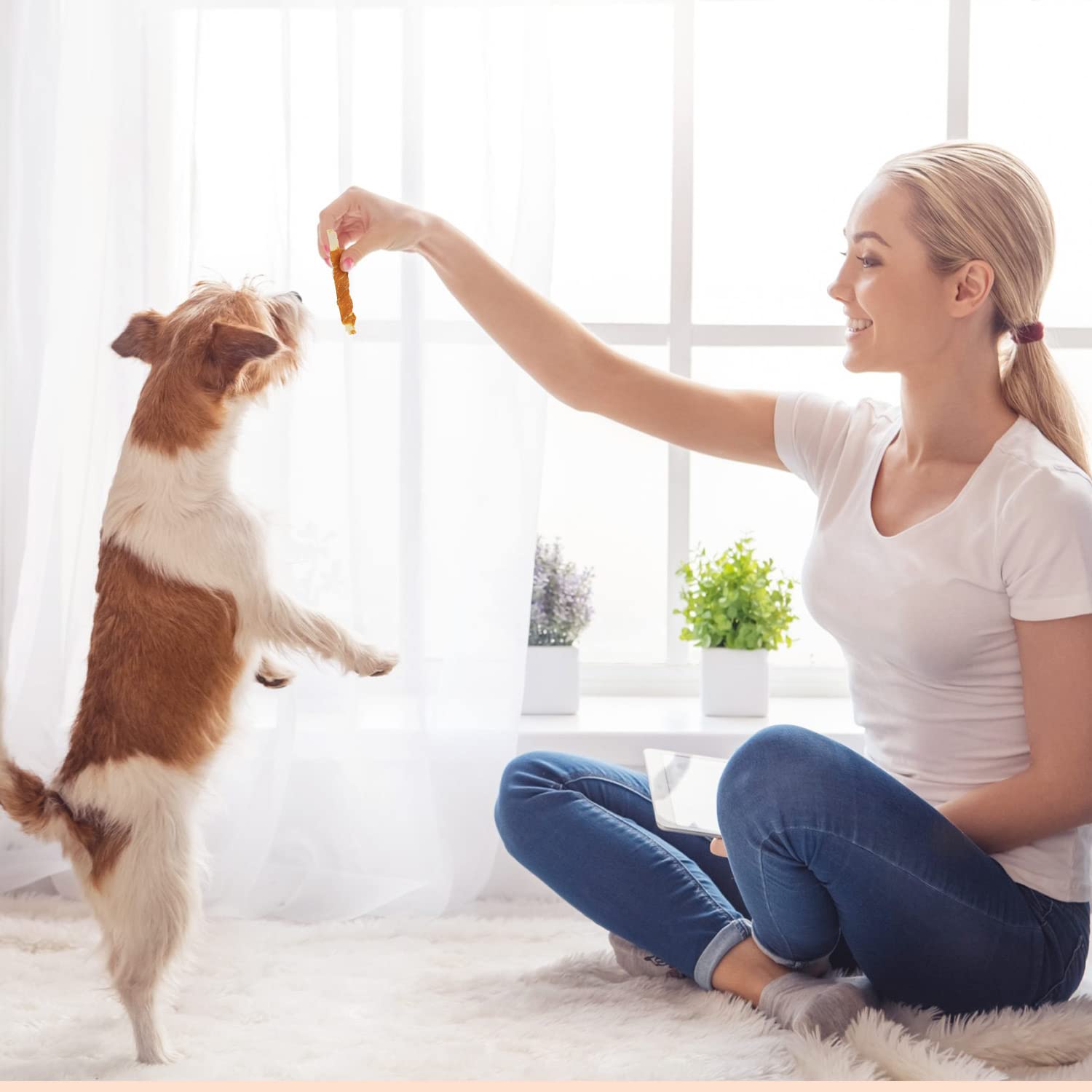Nobleza - Snack per Cani, Bastoncini Masticabili con Carne e Merluzzo di Pollo, Snack Naturale per Cuccioli di Cane, L10 cm, 6 Confezioni x 80 g