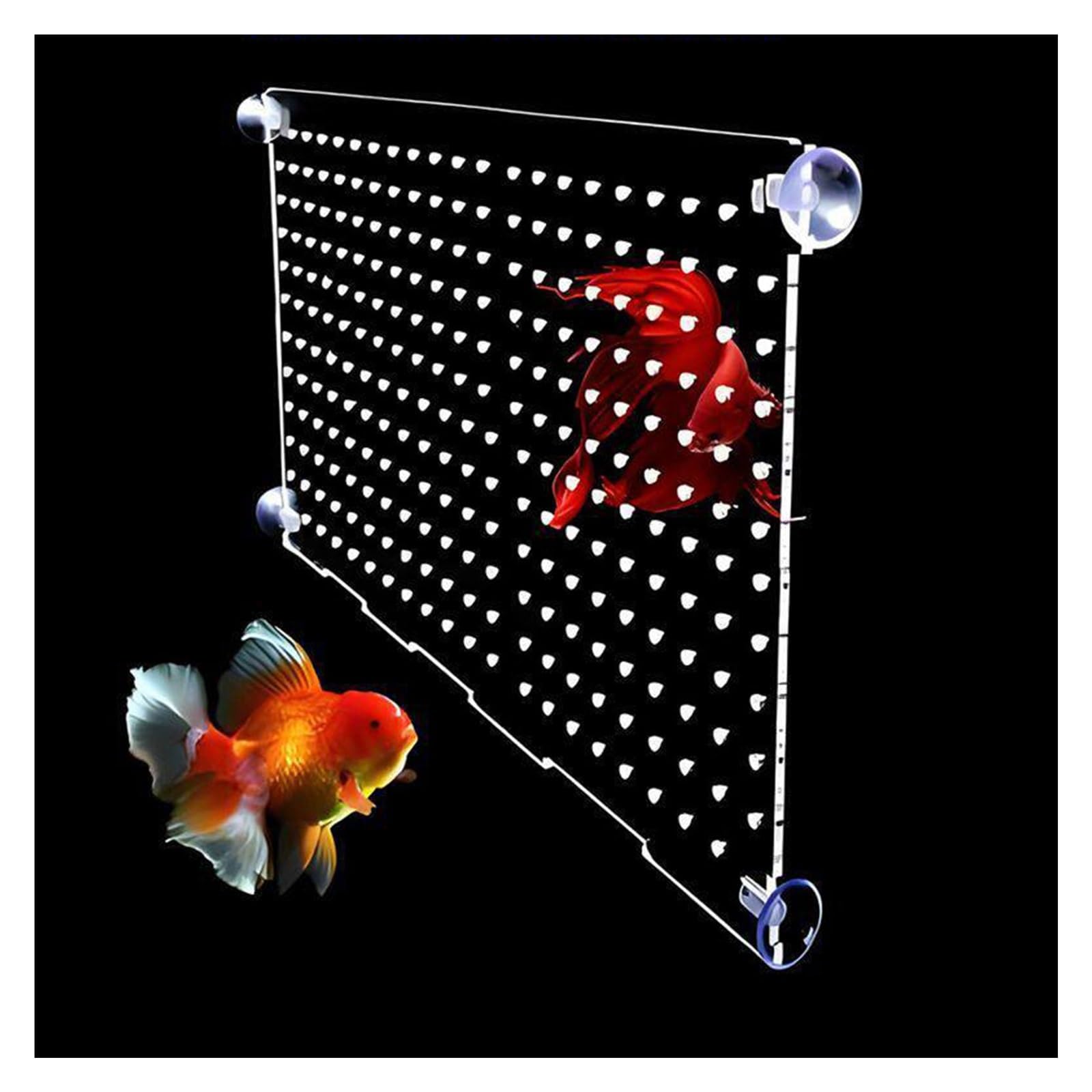 Séparateur en Acrylique pour Aquarium Plaque D'isolation Transparente avec Ventouses pour Aquarium