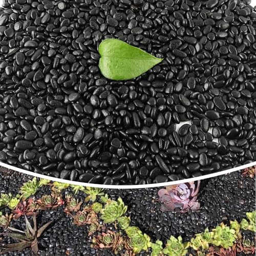 Image of 18lb 1 /4 inch Small Pebbles Black for Plants,Potting,Succulents Aquarium Fish Tank Vases Decorative Garden Polished Gravel Rocks Stones