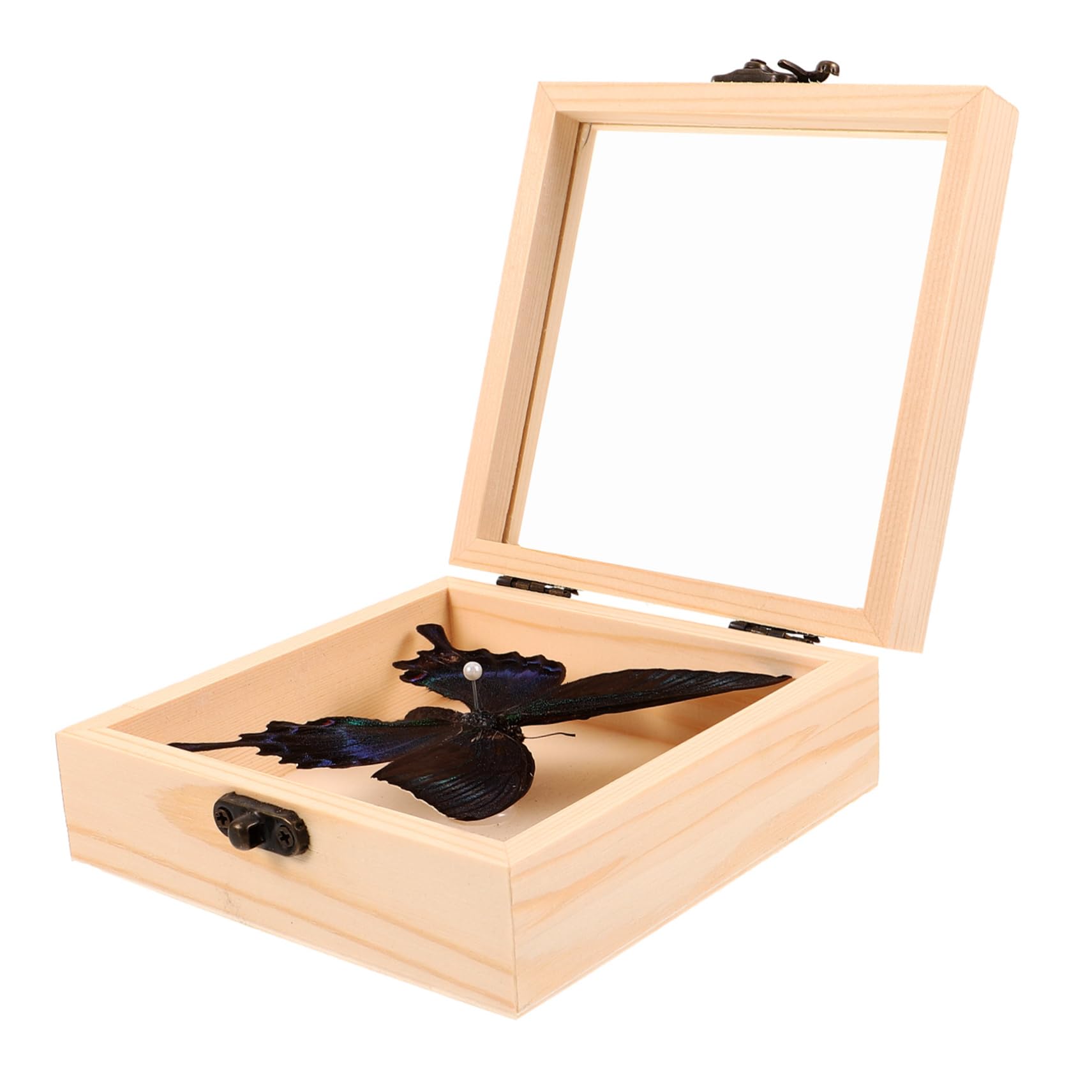 Vaguelly 1 Set Wooden Butterfly Specimen Display Box with Transparent Lid Home Decoration for Education Collectibles Present for Birthdays Insect Enthusiasts