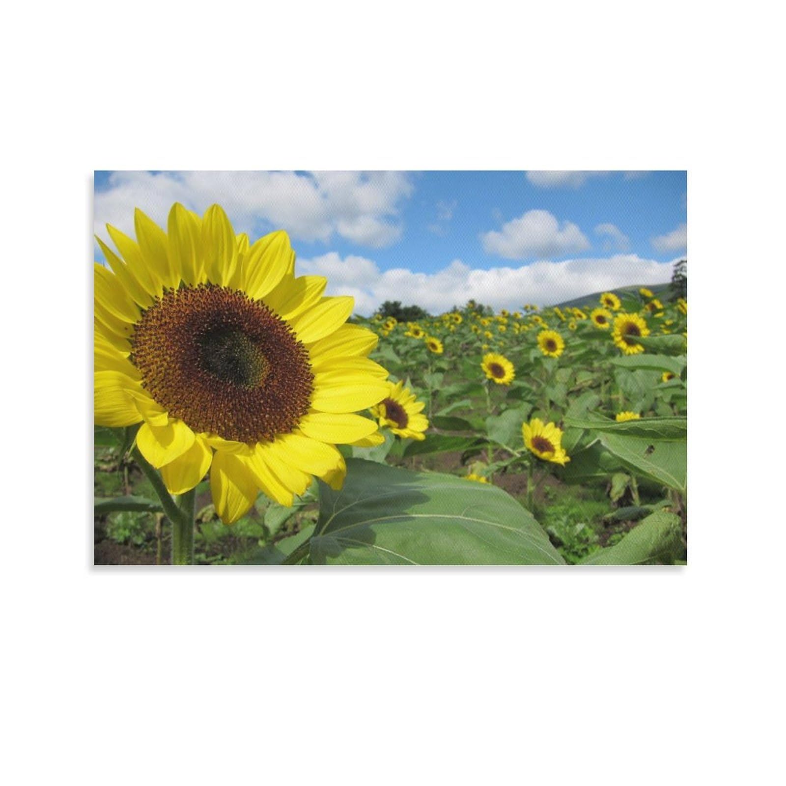 Amazon.co.jp: 絵画 大分県秋ひまわりインテリア 絵画 魅力的な