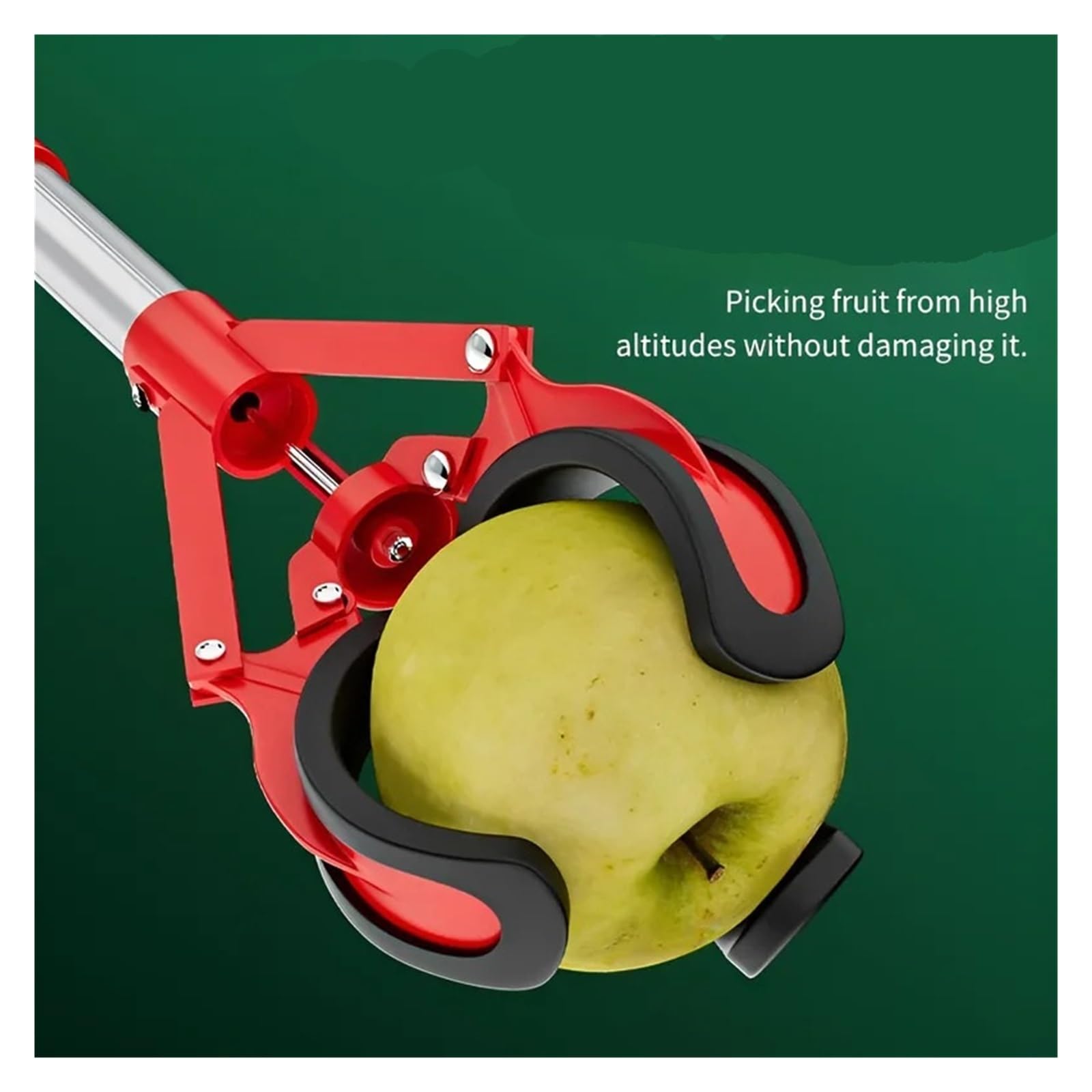 Cueilleur de fruits Outils de cueillette fruits et légumes à trois griffes