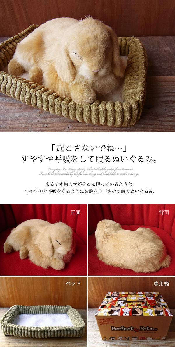Amazon.co.jp: ニニアンドキノ パーフェクトペット (小サイズ