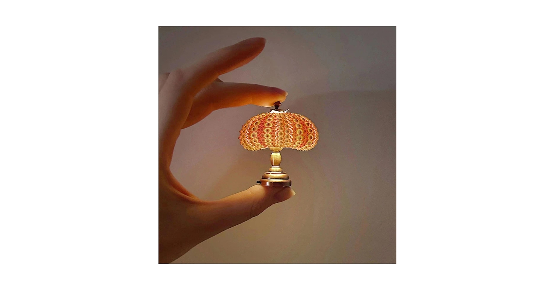 Amazon.co.jp : Geonoyウニナイトライト、クリエイティブな