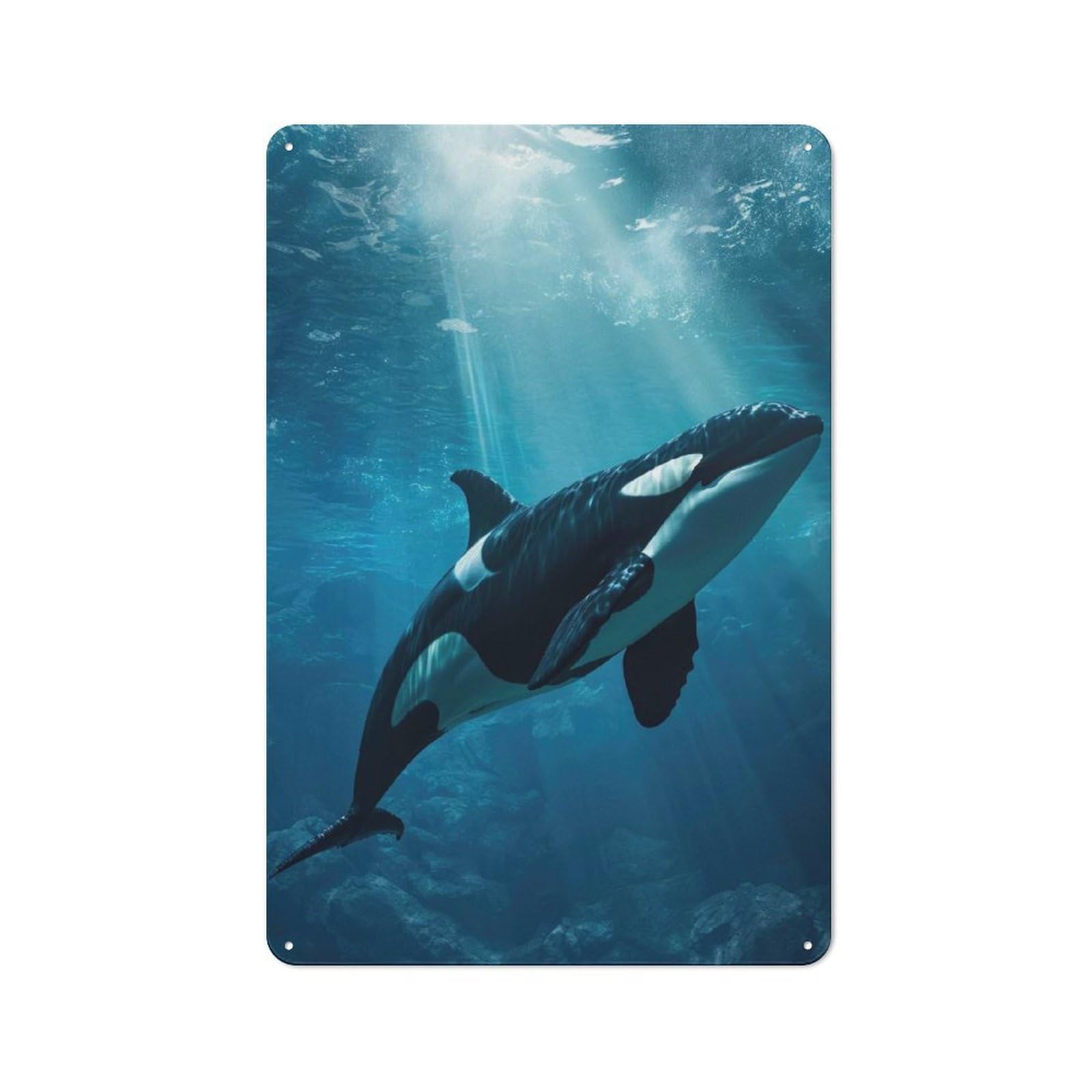 Junmoney Majestic Orca Whale Killer Retro Metal Plaque 30X20cm For Living Room Or Hallway, For An Autumn Wall Display In Living Room And Hallway