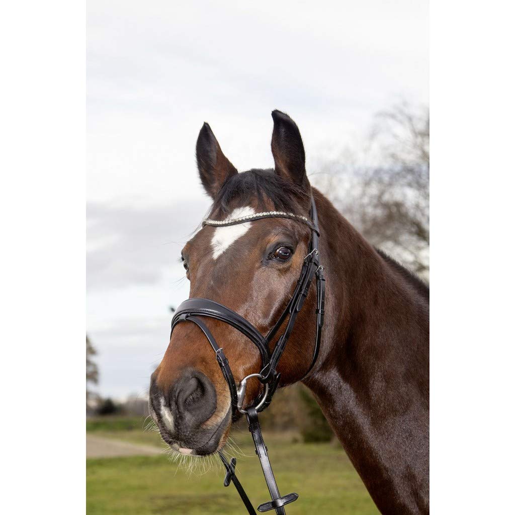 HKM Melinda Halters Black Pony - Image 2