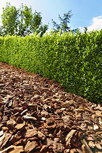 Floragard 11487 Mulch Dennenschors 15-25 mm 60 L - Afbeelding 3