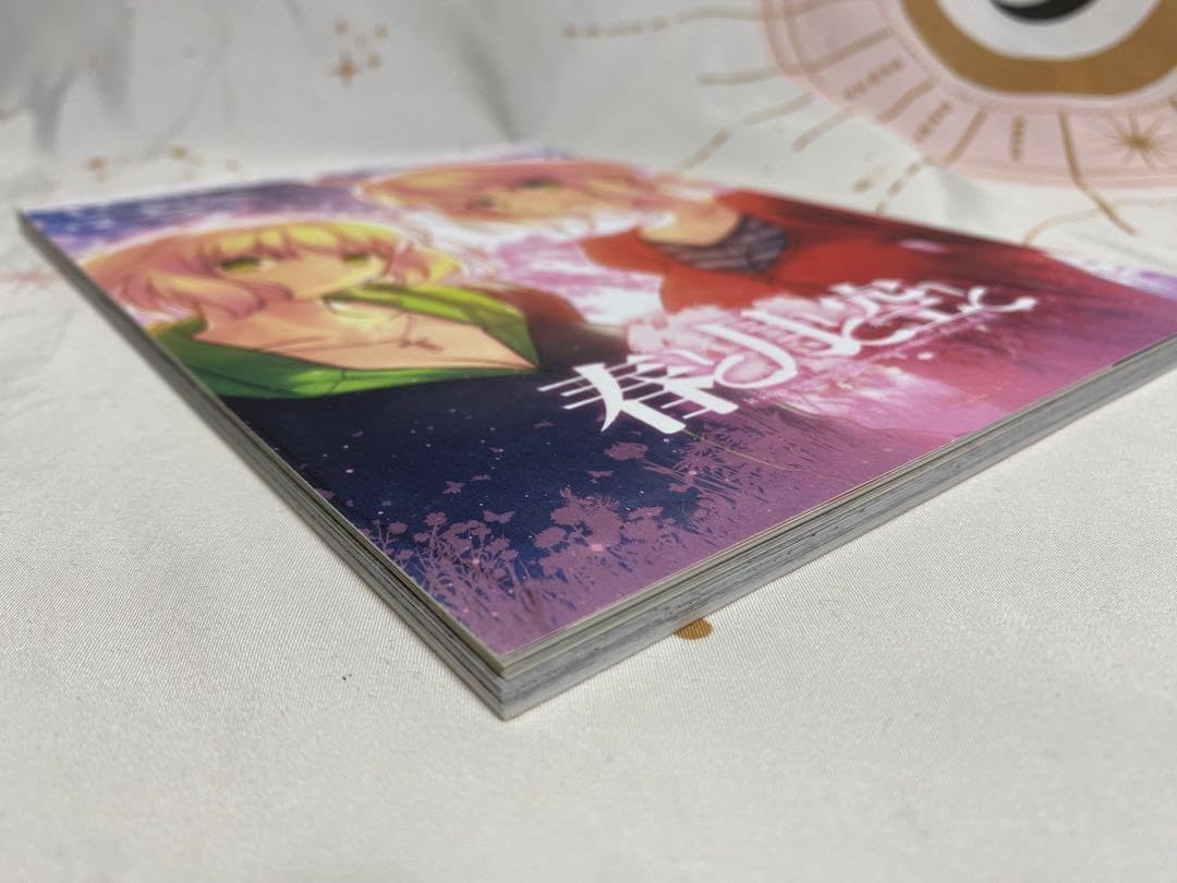 Amazon.co.jp: サークル竹箒 春と月と空と TYPE-MOON : おもちゃ