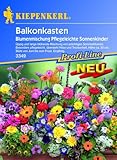 Balkonkasten-Mix