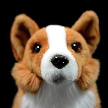 コーギー ゲームぬいぐるみ 数社限定】まるまるコーギーBIGぬいぐるみ」登場