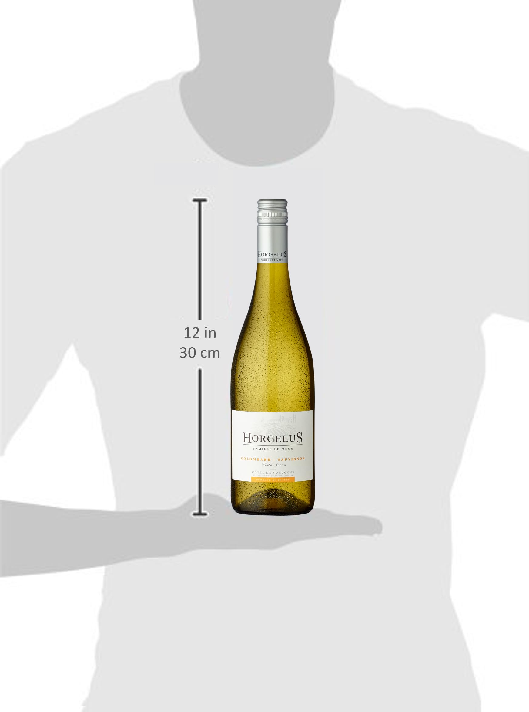 Horgelus Colombard-Sauvignon Côtes de Gascogne I.G.P. (6x 0,75l) - Trockener, aromatischer Weißwein mit Zitrus- und frischen Apfelnoten