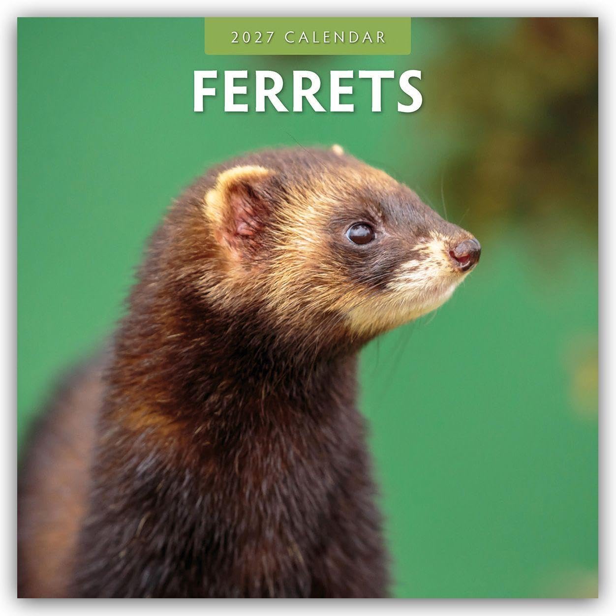 Ferrets 2027 Square Wall Calendar: Original Red Robin Publishing Ltd-Kalender [Mehrsprachig] [Kalender]