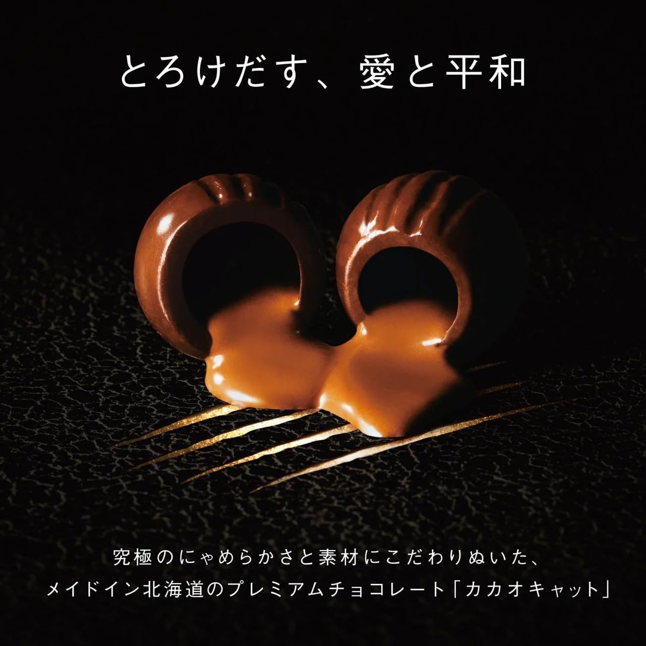 Amazon | CACAOCAT缶 美少女戦士セーラームーン 10缶コンプリート