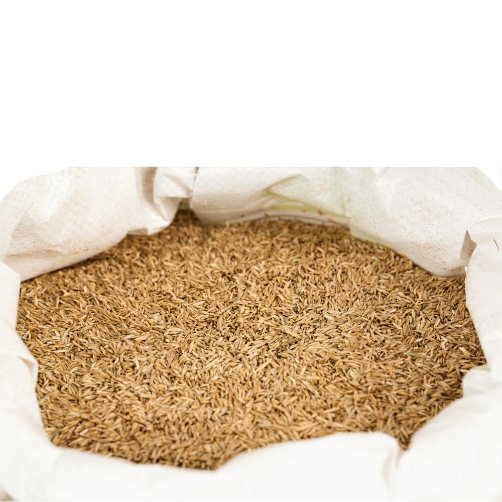 Semi Erba da Prato Siepe Universale 20 kg Campo Semi di Erba Ombra Gioco Sport Solare