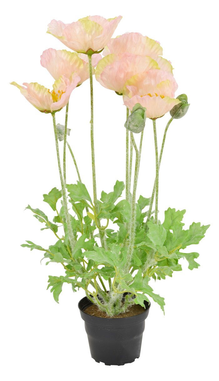 Props4shows Salmon Artificial Potted Poppy Plant