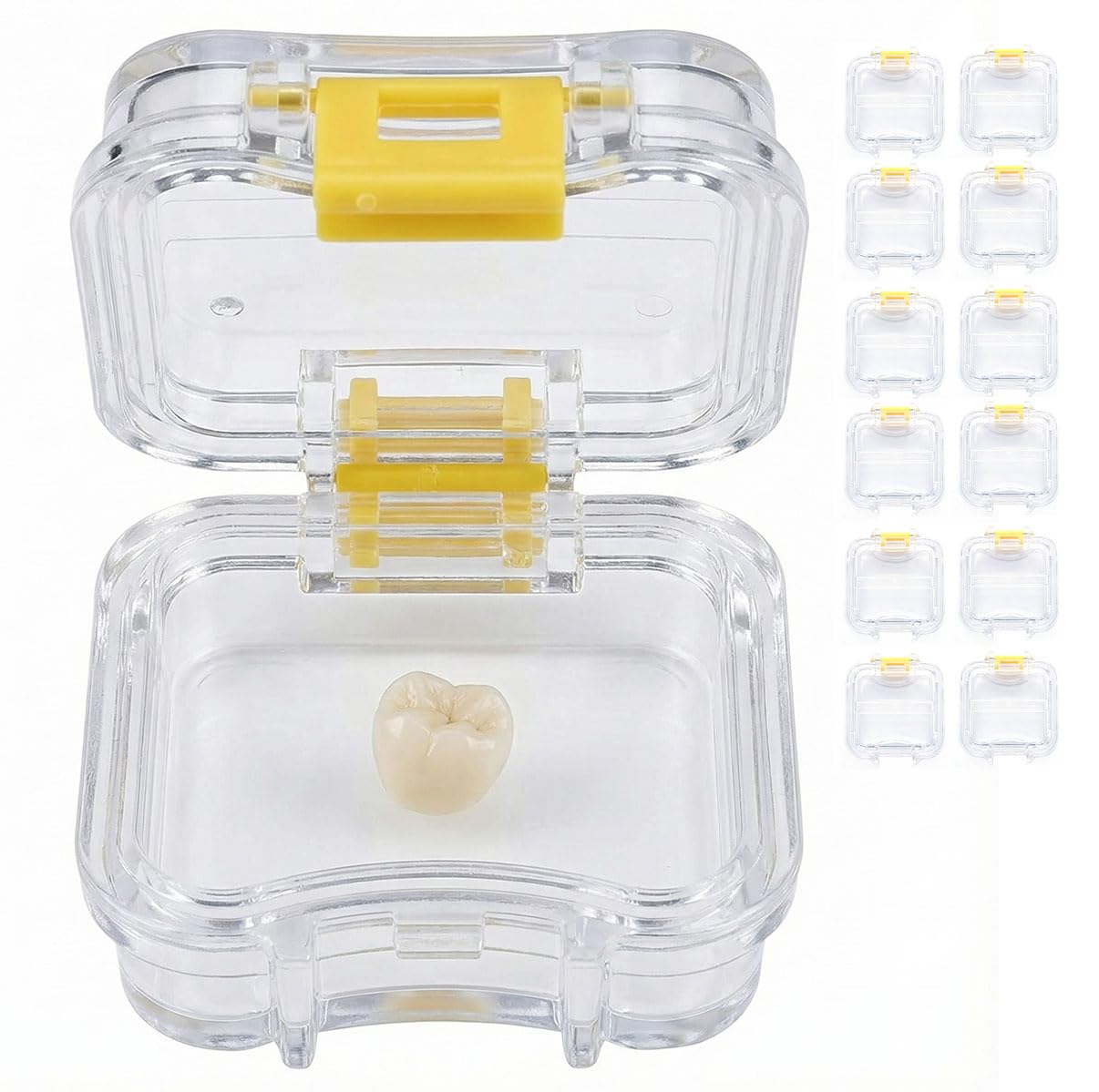 LA MIERE 12 contenitori per cuscini a forma di corona dentale e ponte con chiusura di sicurezza, con membrana trasparente