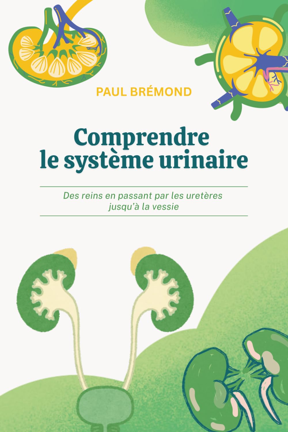 Comprendre le système urinaire: Des reins en passant par les uretères jusqu’à la vessie