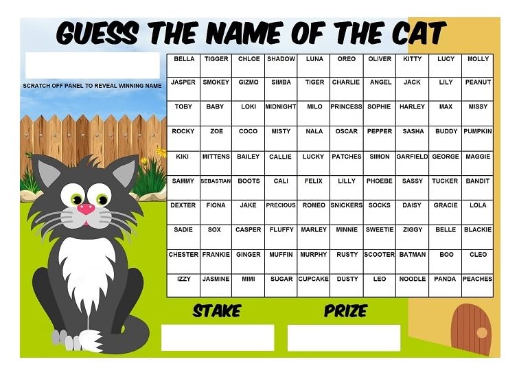 A3 Guess The Name of the Cat Fundraising Scratchcard Match and Win card, Multicolor