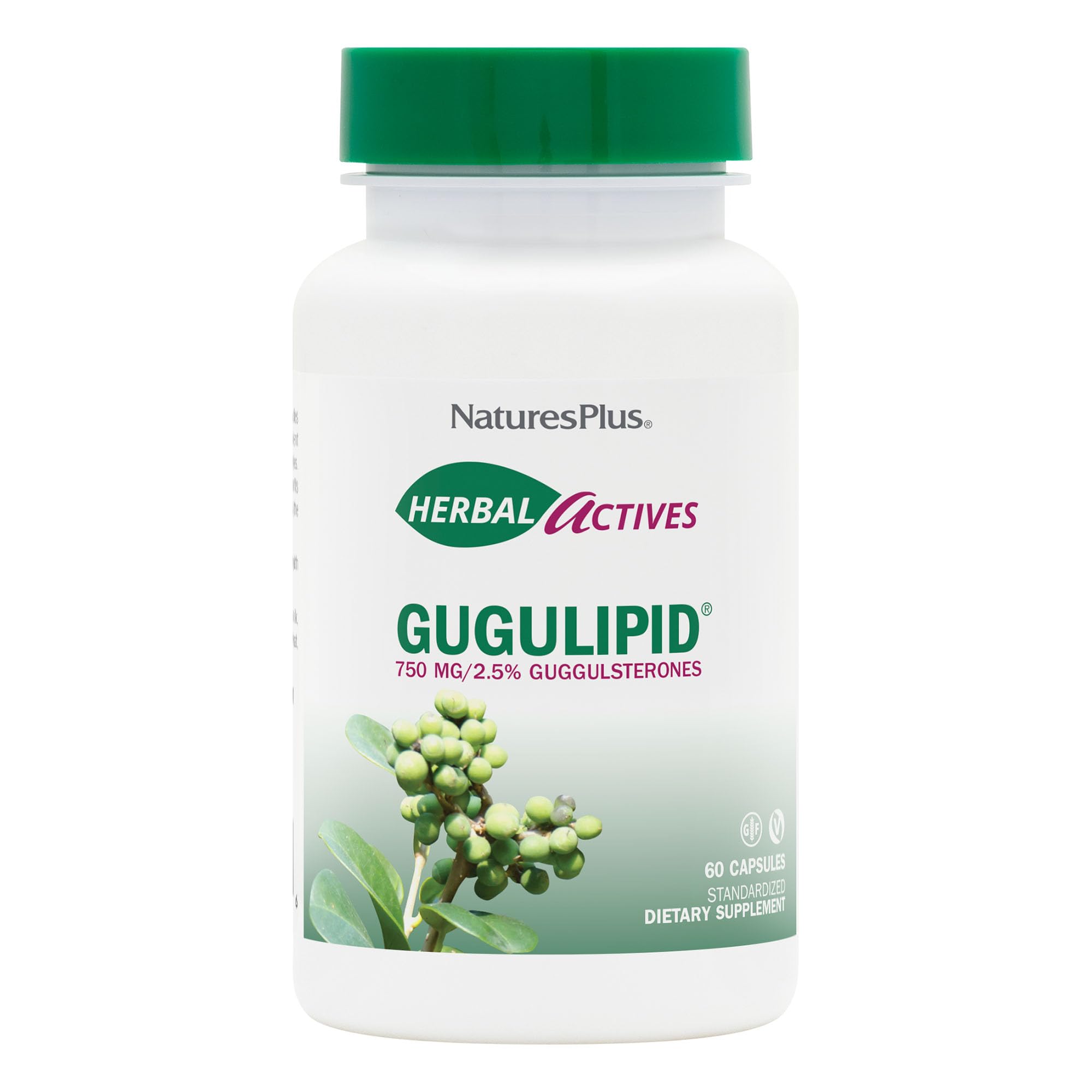 Natures Plus Herbal Actives Gugulipid - 750 mg, 2.5% Guggulsterones - 60 Vegan Capsules - Ayurvedic Botanical Supplement - Maximum Potency - Vegetarian, Gluten-Free - 60 Servings