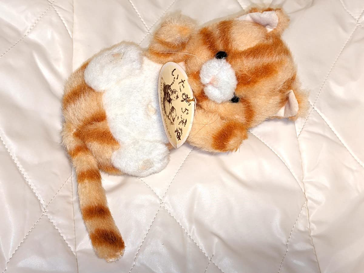 Amazon.co.jp: ファースト いたずら天使 猫 ねこ ぬいぐるみ お 