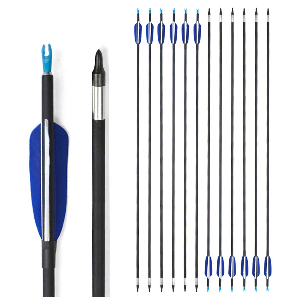 SHARROW 12pcs Flèches de Carbone 31 Pouces Flèches de Chasse 700 Spine avec Plumes de Dinde Naturelle et Carquois de Flèche pour Arc à Poulies et Arc Classique