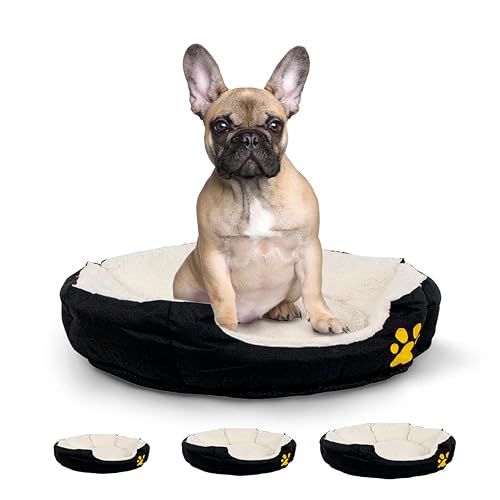 Mobiclinic, Cama Perro, Pluto, Perros medianos, Marca española, Varios tamaños Disponibles, Suave, Gato