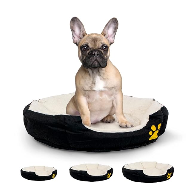 Mobiclinic, Cama Perro, Pluto, Perros medianos, Marca española, Varios tamaños Disponibles, Suave, Gato