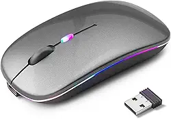 Mouse Sem Fio Recarregável com LED RGB Design Ergonômico Conexão USB Bluetooth Compatível com PC Notebook e Home Office (Cinza)
