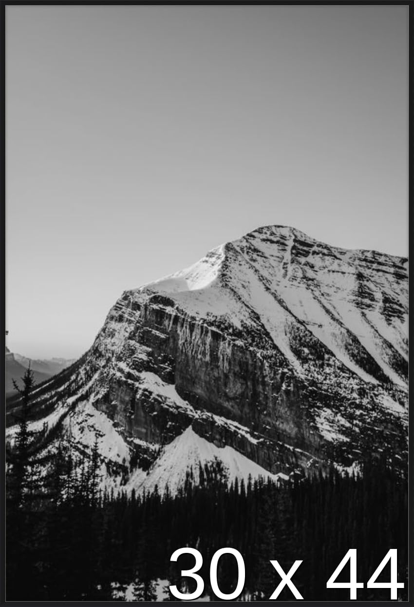 Amazon.co.jp: 30 x 44ポスターフレーム – プロファイル: # 93